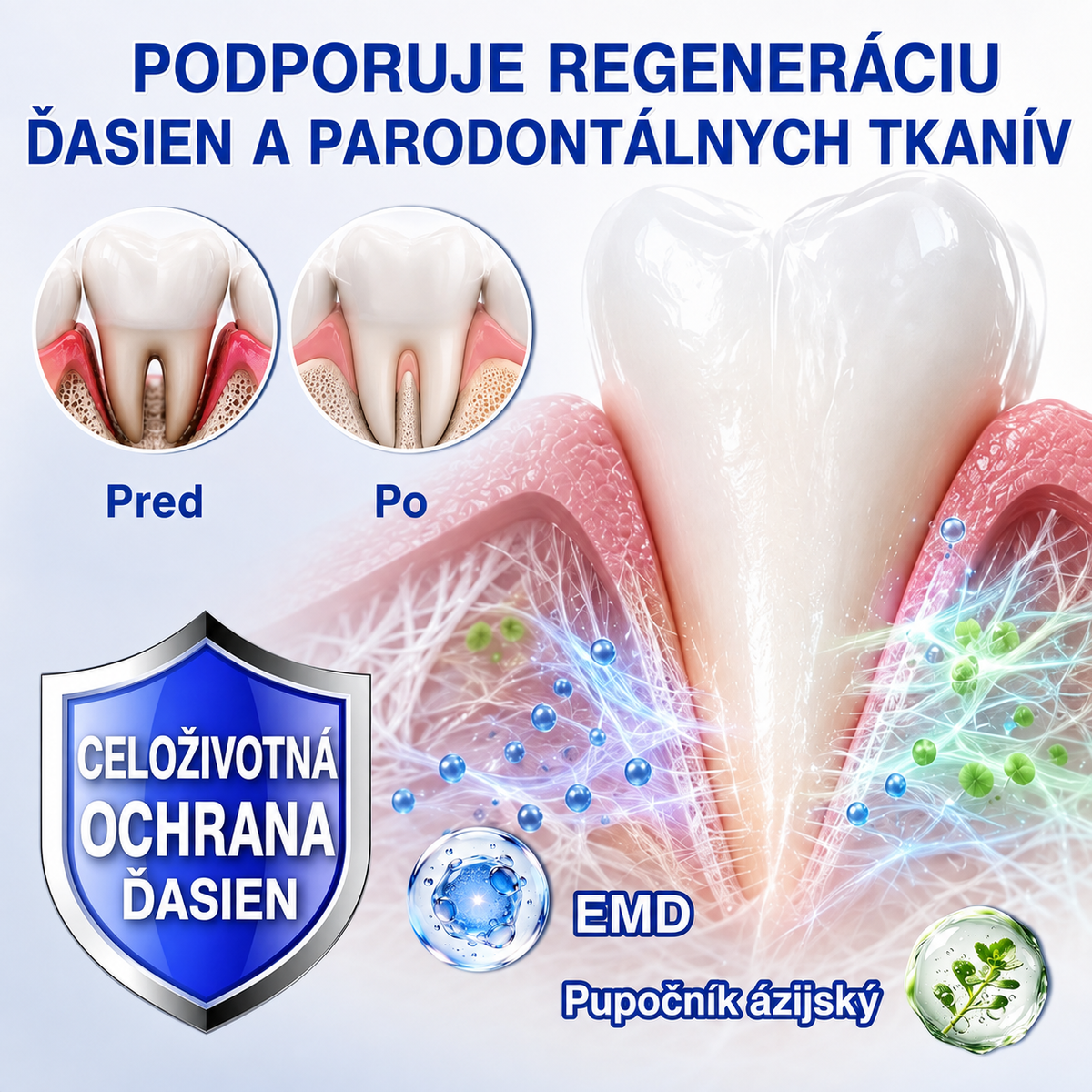 👨‍⚕️🦷 Evolvion® GumRevive – regeneračný gél na parodont🎁